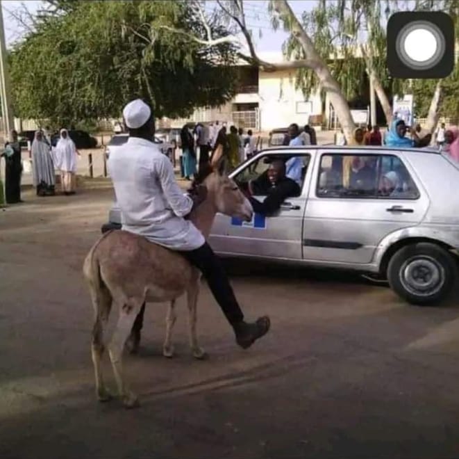 Fuel subsidy: University of Maiduguri student don arrive at hin campus on a donkey as transport fares don high:
